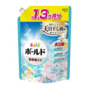 yzP&G {[hWF u₩tbVt[T{̍ ߂p W{TCY _ܓ  960g 1