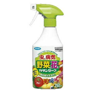 yzt}L[ J_Z[t 250ml 1