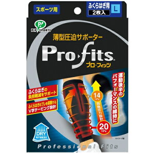 y×2 z܂zsbv ^ T|[^[ vEtBbc ӂ͂p L