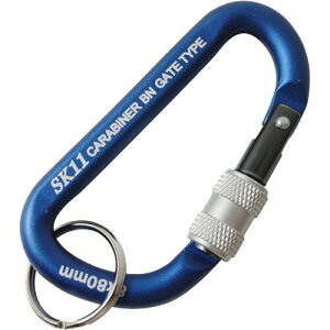 yz Y SK11 bNJri BN Eh~lWbN@\ SAC-880BN u[(1R) 1