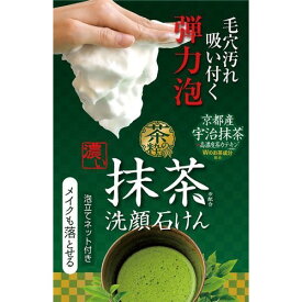 【送料込】 コスメテックスローランド 茶の粋 濃い洗顔石鹸M 100g 1個