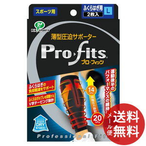 y[֑zsbv ^ T|[^[ vEtBbc ӂ͂p L 1