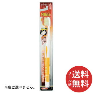 【メール便送料無料】エビス リグ ハブラシ やわらかめ 1本 ※色は選べません。 【歯周病予防】