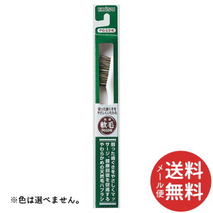 y[֑zGrX NEWGrX 1{ F͑Iׂ܂B y^R\hz