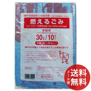 y[֑z{TjpbN GK31 _ˎsR邲 30L 10 1