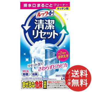 【メール便送料無料】LION ライオン ルックプラス 清潔リセット 排水口まるごとクリーナー キッチン用 80g 1個
