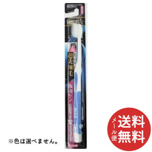 y[֑zGrX OEXnuV ז ӂ 1 F͑Iׂ܂B