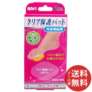 yz܂z~mE w O NAیpbg 2 1