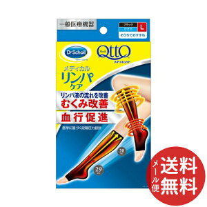 y[֑zhN^[V[ fBLbg fBJ pPA Ђ ubN LTCY ʈË@ 1