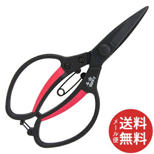 y[֑zg GF A SGFP-3(1R) 1