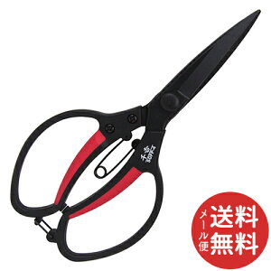 y[֑zg GF A؃On SGFP-4(1R) 1