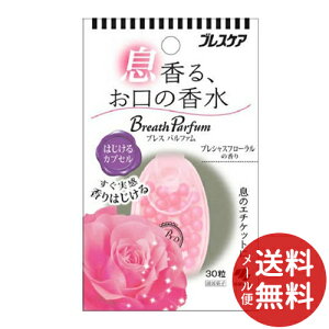 y[֑zѐ uXPA uXpt@ ͂JvZ vVXt[̍ 30 1