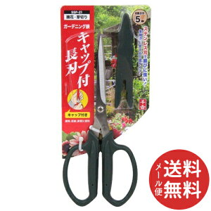 y[֑zg K[fjO Lbvtn SSP-21(1R) 1