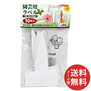 y[֑zZteB[3 |px T^10 _C 1