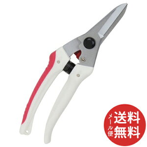 y[֑zg K[fؙ TbN SGP-44(1R) 1