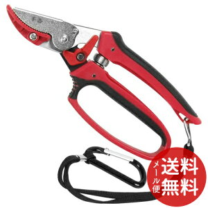 y[֑zg Lb`tZnT~ SGP-35C 1