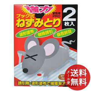 y[֑zΏtm wLT`  ubN ˂݂Ƃ 2 1