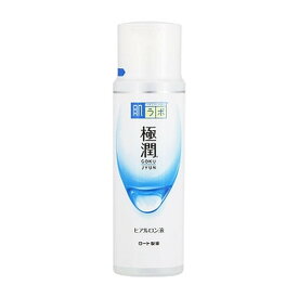 【送料込】 ロート製薬 肌研 ハダラボ 極潤ヒアルロン液 170ml 1個