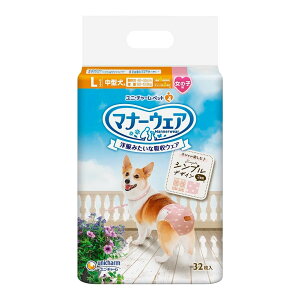 yz jE`[ }i[EFA ̎qp L [sNhbgEsN`FbN 32 1