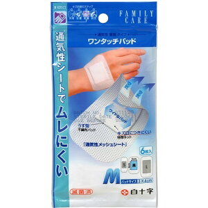 yE܂Ƃߔ×100Zbgz\ t@~[PA FC ^b`pbh M 6 1