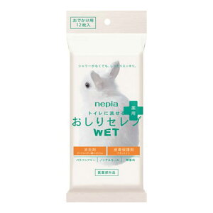 yzlsA gCɗ Zu WETEGbg p łp 12 1
