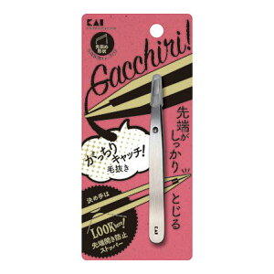 yzL [Jh~\tő_т𓦂ɂ є 1