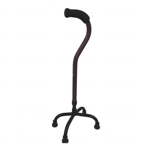 �y�������z�t�W�z�[�� �}�O�l�V�E���l�_�� �o�[�K���f�B M 1��