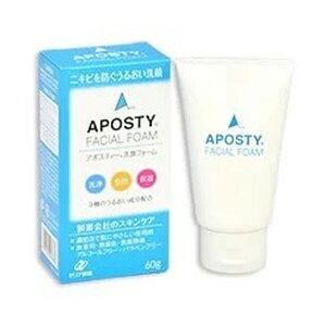 yE܂Ƃߔ×120Zbgz[AV A|XeB[ tH[ 60g