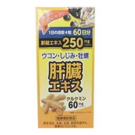 【送料込】井藤漢方製薬 G&G 肝臓エキス 240粒 1個