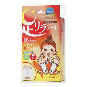 yE܂Ƃߔ×48Zbgz ̌b V[g hq 30