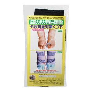 y×2 z܂zR[|[Vp[X^[ O΍C  23-24cm