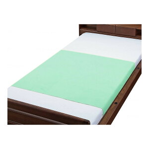 yzEFt@ p ȍpC hV[c 90×145cm 2g O[  1