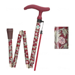 yztWz[ ANeBu O[X ܏ S Cbh 1