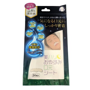 yzTCvX n ₷݌V[g 24 1