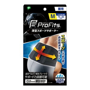 yE܂Ƃߔ×40Zbgzsbv ^ T|[^[ vEtBbc p MTCY