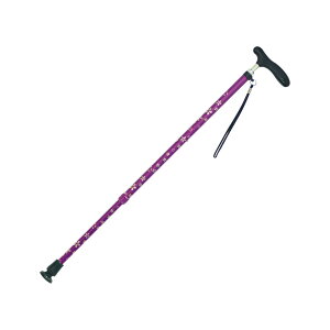 yz Lka I RۃObv CMS-11  1