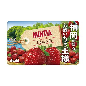 �y�������E�܂Ƃߔ���×200�Z�b�g�z�A�T�q�O���[�v�H�i �~���e�B�A MINTIA ���܂���� 50����