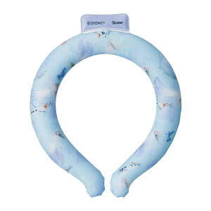 yE܂Ƃߔ×36ZbgzXP[^[ O M AiƐ̏2 lbNN[[