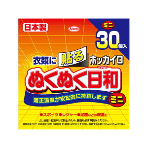 【送料込】 興和新薬 ホッカイロ ぬくぬく日和 貼るミニ 30個入 ×16個セット