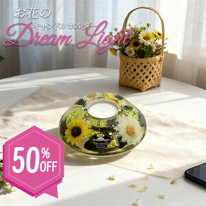 y50%OFFzLhz_[ h[Cg C LhX^h 낤 ԑ  o ֑}@u[P tFCNt[ hCt[ CeA Mtg v[g LOi 