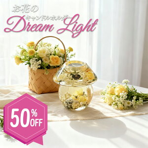 y50%OFFzLhz_[ h[Cg C LhX^h 낤 ԑ  o ֑}@u[P tFCNt[ hCt[ CeA Mtg v[g LOi 