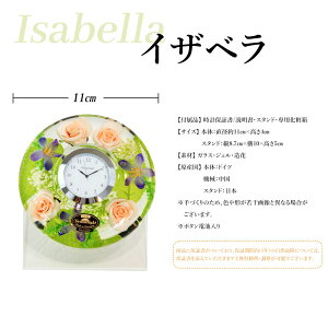 y50%OFFzt[NbN h[Cg Lhz_[ Ԏv uv Mtg{bNXt [X A[gt[ VNt[ n[oE  h[NbN KX 