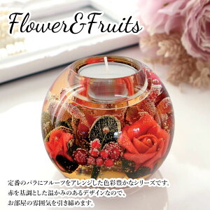 y50%OFFzLhz_[ h[Cg C LhX^h 낤 ԑ  o ֑}@u[P tFCNt[ hCt[ CeA Mtg v[g LOi 