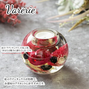 y50%OFFzLhz_[ h[Cg C LhX^h 낤 ԑ  o ֑}@u[P tFCNt[ hCt[ CeA Mtg v[g LOi 