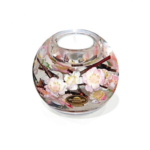 h[Cg }[L[ Lhz_[ C LhX^h 낤 hCt[ CeA Mtg v[g KX  LhX^h EFfBO LO