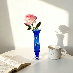 hXfNX^ @VtHj[[Y@֑}@21cm / ANA