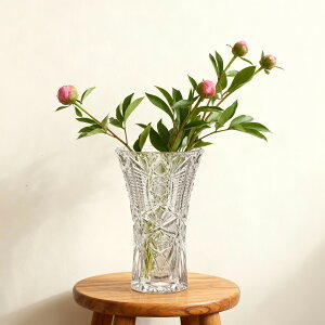 {w~Ah[ {w~A OX Bohrmian Dream 500PK xc ԕr 25cm yA {w~ANX^   S a җ NX}X v[g j j Mtg RX