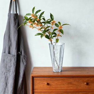 {w~Ah[ {w~A OX Bohrmian Dream IAVX ԕr 28cm yA {w~ANX^   S a җ NX}X v[g j j Mtg RX L