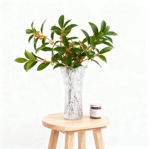 {w~Ah[ {w~A OX Bohrmian Dream VbV ԕr 22cm yA {w~ANX^   S a җ NX}X v[g j j Mtg RX LO