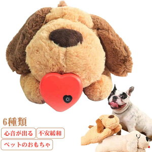 �y�b�g �������� �����s������ �ʂ������ �� �S�����o�� �n�[�g�r�[�g �����n �s���ɘa �����⏕ �� ���� �������� ������ �X�g���X���� ���킢�� �q���̂������� ���� �S�� ���� ���S ����